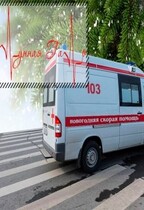 Новогодняя скорая помощь (Лунная Галь)