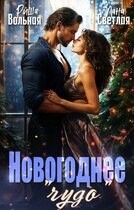 Новогоднее «чудо» (Лана Светлая
                                                                                                            
                                                                                                                                                                                                                                        ,
                                                                
                                                                                                                                            Риша Вольная)