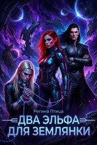 Два эльфа для землянки (Регина Птица)