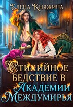 Стихийное бедствие в Академии Междумирья (Елена Княжина)
