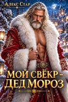 Мой свёкр — Дед Мороз (Алекс Стар)