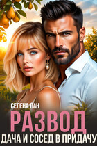 Развод. Дача и сосед в придачу (Селена Лан)